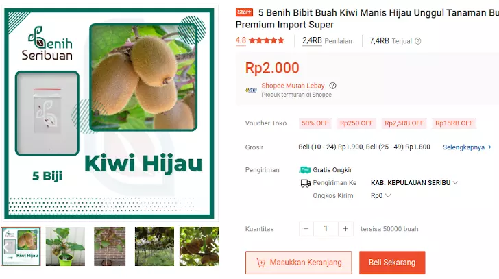 benih kiwi hijau shopee