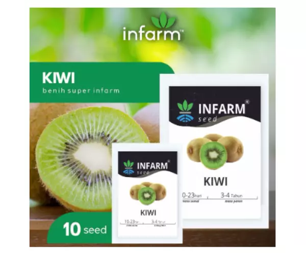 benih kiwi infarm