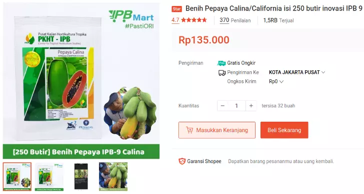 benih pepaya california ipb bogor