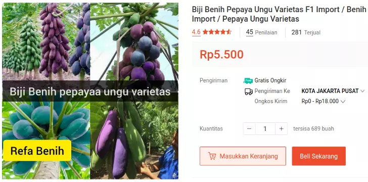 benih pepaya ungu impor