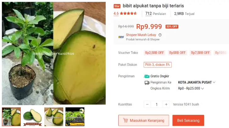 bibit alpukat tanpa biji