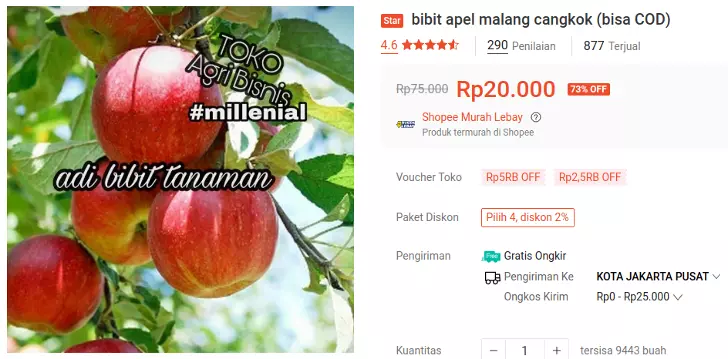 bibit apel manalagi malang