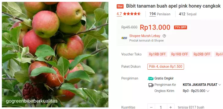 bibit apel pink honey