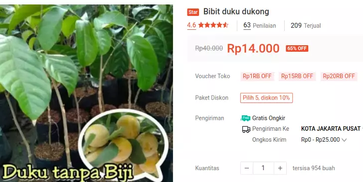 bibit duku dukong malaysia