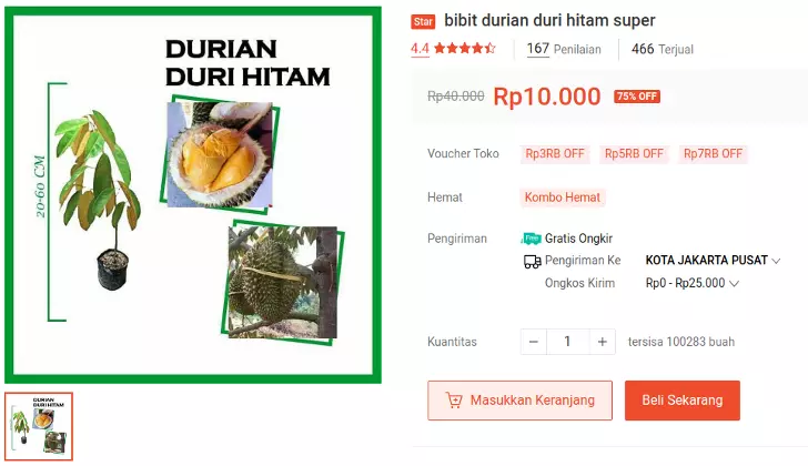 bibit durian hitam