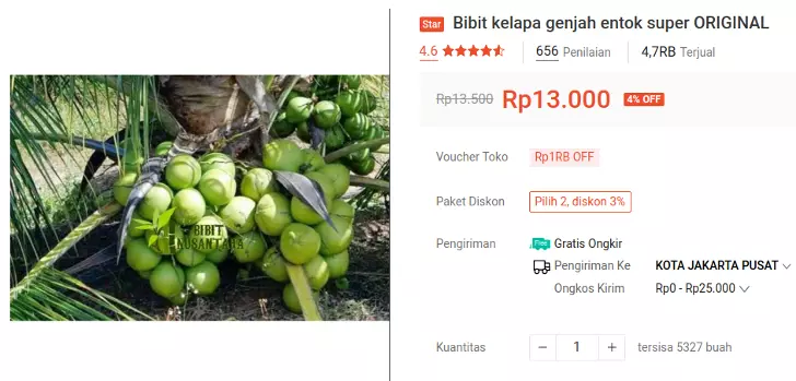 bibit kelapa entok