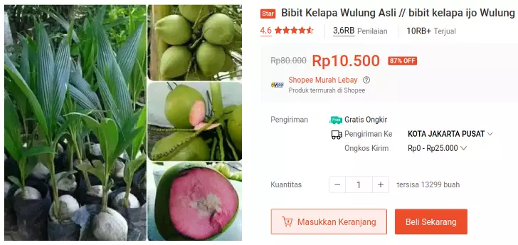 bibit kelapa wulung ijo