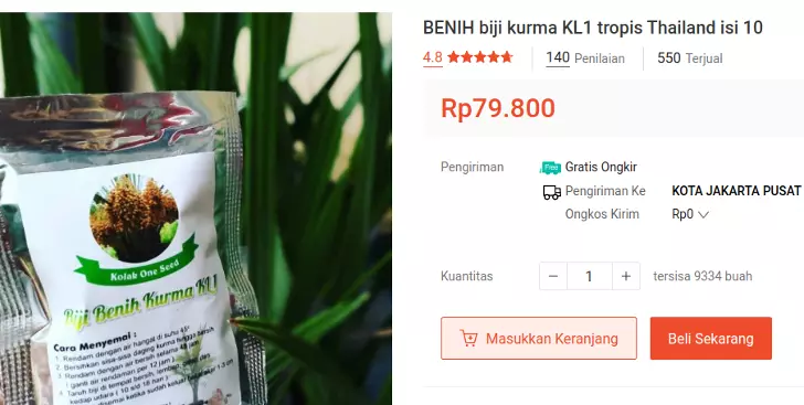 bibit kurma bersertifikat resmi thailand