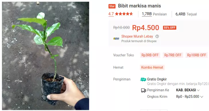 bibit markisa manis