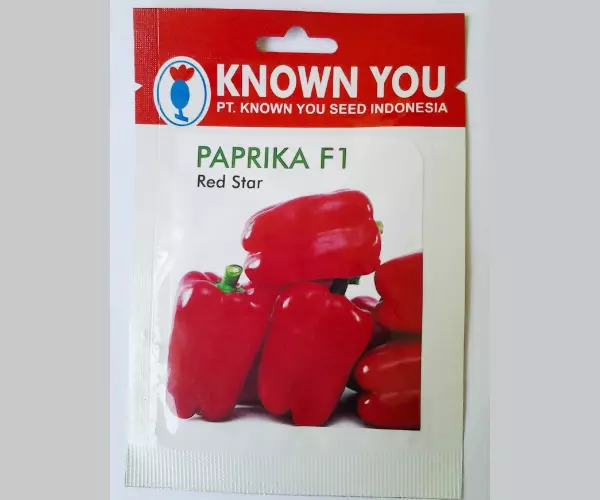 bibit paprika red star