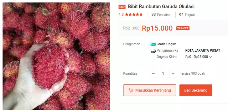 bibit rambutan garuda