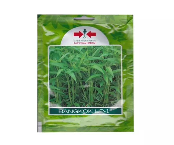 kangkung bangkok lp1 cap panah merah