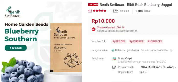 benih blueberry shopee