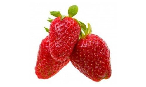 bibit Strawberry Manora