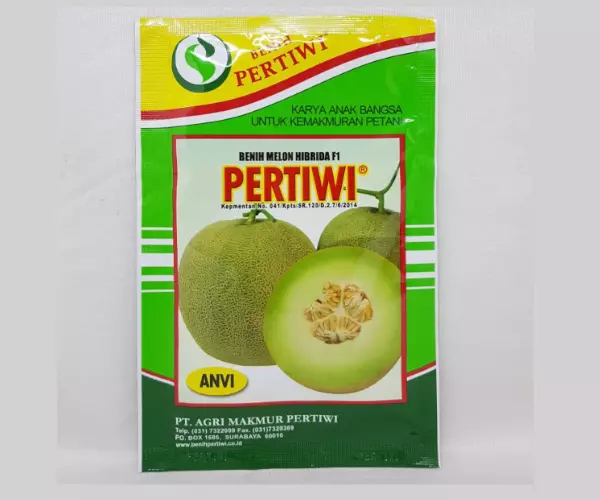 bibit melon anvi