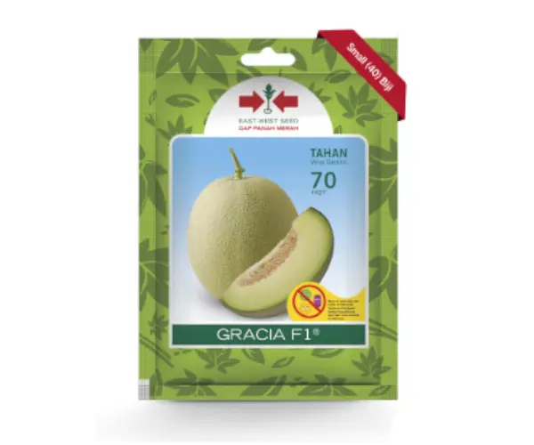 bibit melon gracia f1