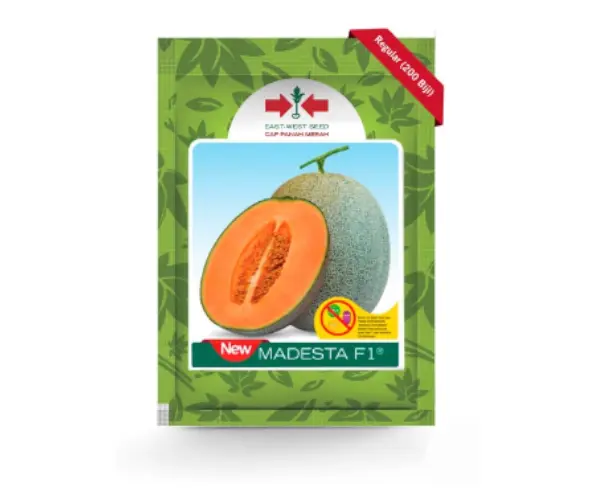 bibit melon madesta f1