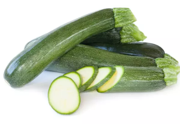 bibit zucchini