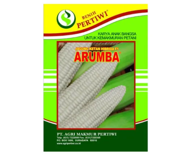 jagung arumba