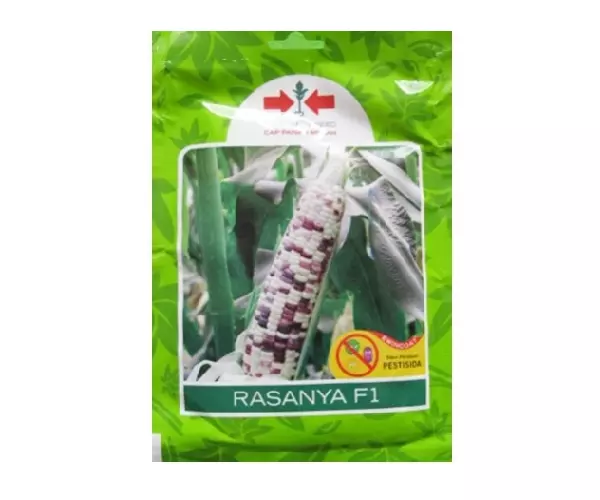 jagung ketan rasanya f1