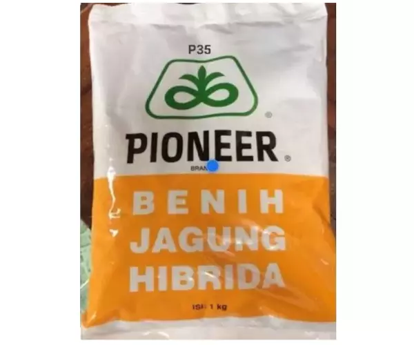 jagung pioneer p35