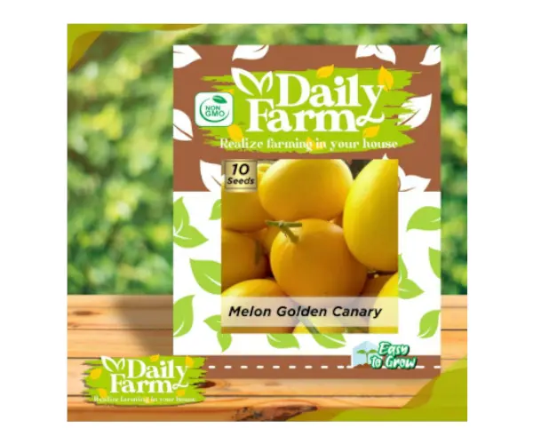 melon golden canary