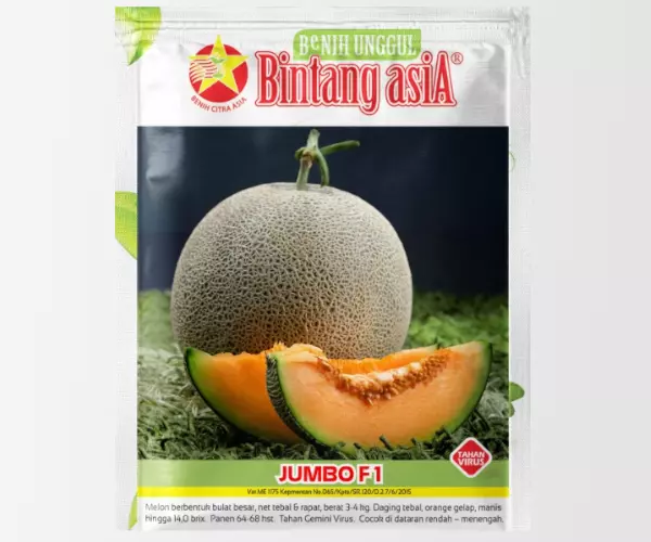 melon jumbo f1 bintang asia