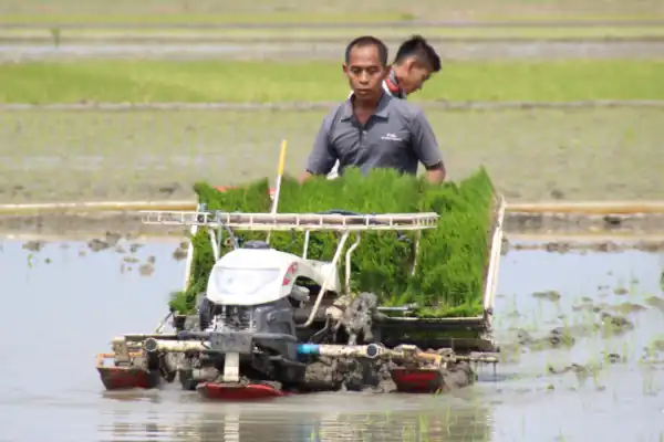 mesin penanam padi