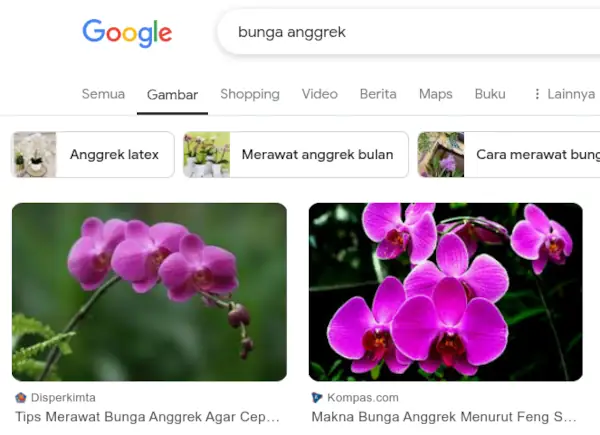 bunga anggrek adalah