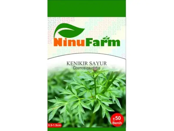 2 Rekomendasi Bibit Kenikir Terbaik Untuk Lalapan 8 bibit kenikir sayur ninu farm