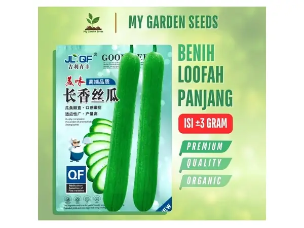 5 Rekomendasi Bibit Oyong Terbaik Jenis Lokal dan Hibrida Jumbo 12 bibit oyong Taiwan