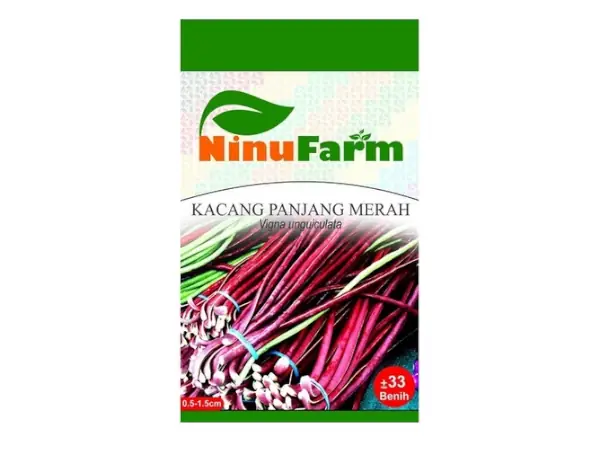 bibit kacang panjang merah NinuFarm