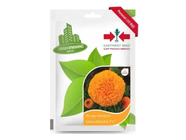 5 Rekomendasi Bibit Bunga Marigold Terbaik 13 benih Marigold Maharani f1