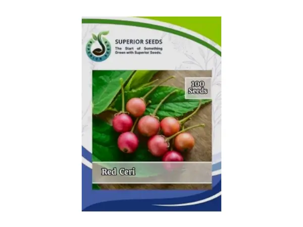 benih Kersen Superior Seeds