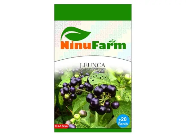 benih Leunca NinuFarm