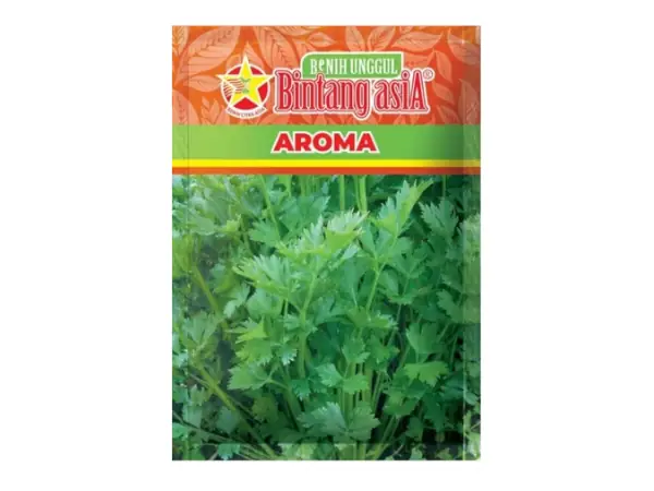 benih seledri Aroma