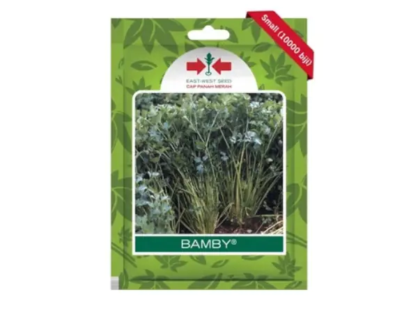 benih seledri Bamby