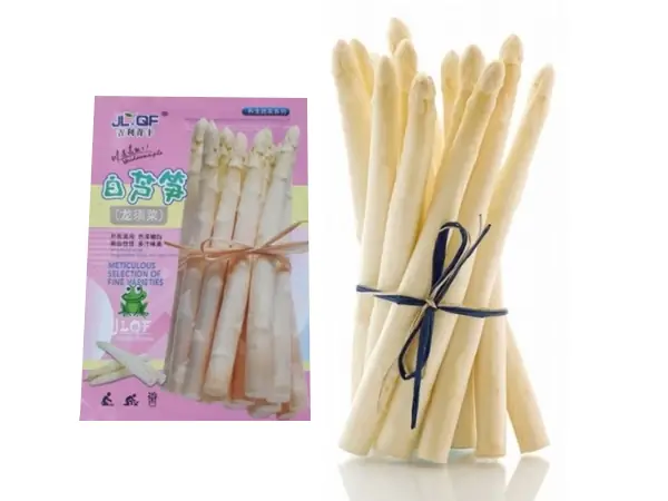 bibit Asparagus putih