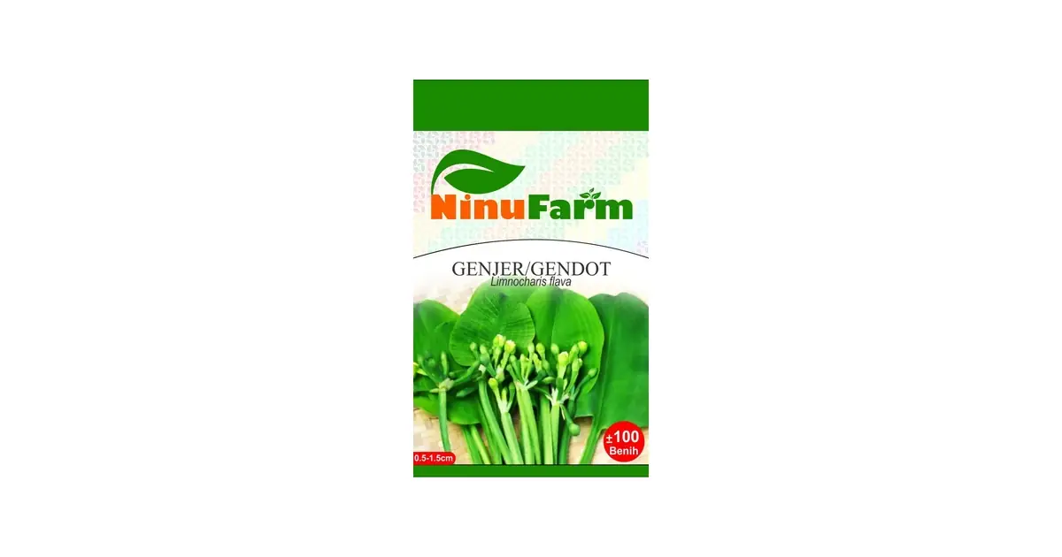 bibit genjer