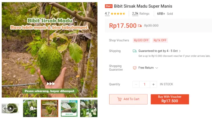 bibit sirsak madu jumbo