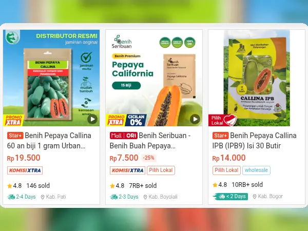 8 Rekomendasi Bibit Buah untuk Dataran Rendah 11 buah dataran rendah Pepaya