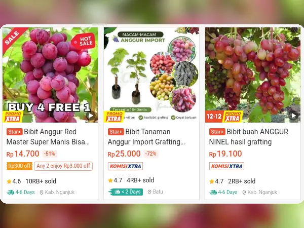 7 Rekomendasi Bibit Buah yang Cocok di Tempat Teduh 9 buah tempat teduh Anggur