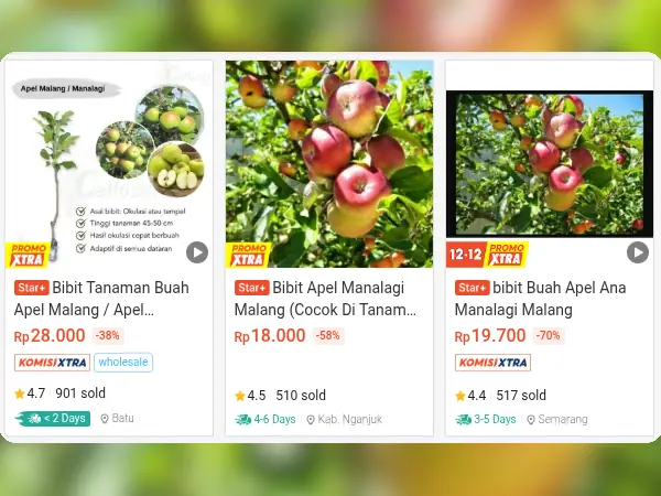 7 Rekomendasi Bibit Buah yang Cocok di Tempat Teduh 10 buah tempat teduh Apel Malang