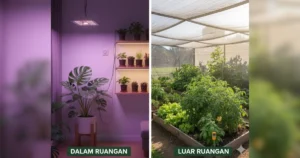 cara mengatur pencahayaan tanaman
