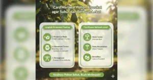 cara merawat pohon alpukat