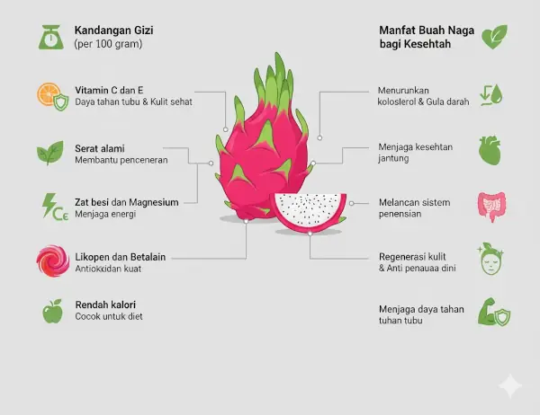 Manfaat dan 10 Ide Olahan Buah Naga 8 kandungan nutrisi dan manfaat buah naga