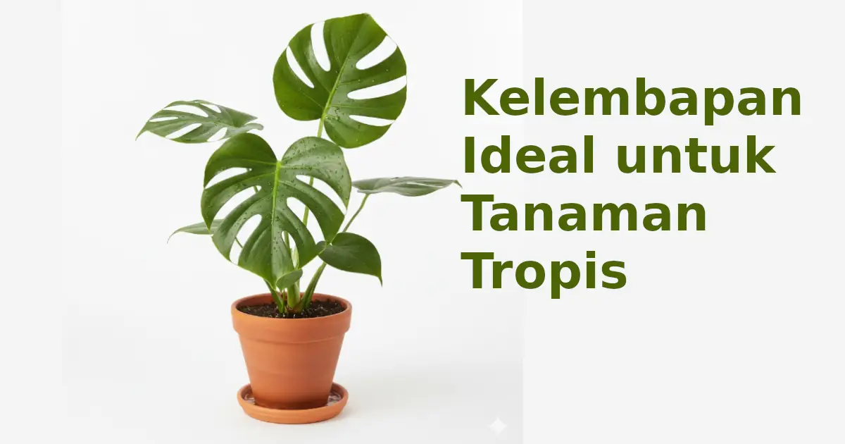 kelembapan ideal untuk tanaman tropis