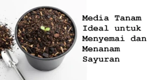 media tanam untuk sayuran