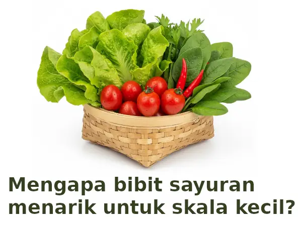 10 Bibit Sayuran untuk Usaha Jualan Sayuran Skala Kecil 8 peluang bisnis jualan sayuran
