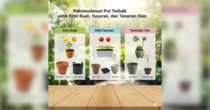 pot terbaik untuk semua tanaman
